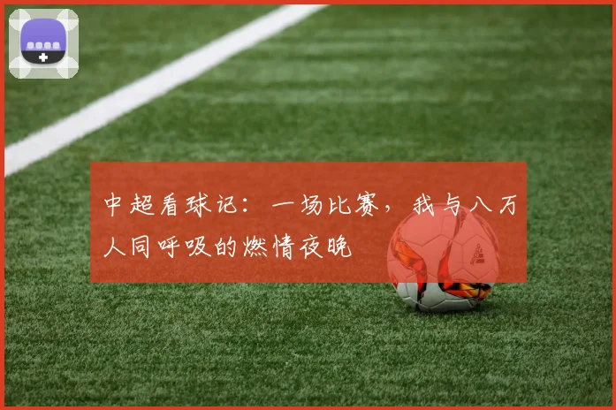 中超看球记：一场比赛，我与八万人同呼吸的燃情夜晚